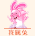 十二生肖兔运势