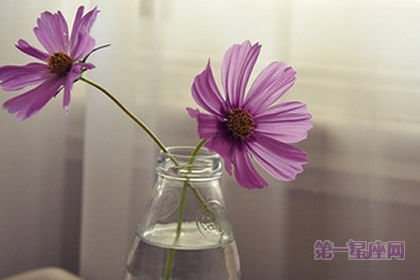 张盛舒2015年2月属牛运势