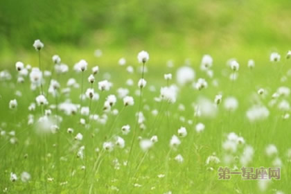 张盛舒2015年2月属蛇运势